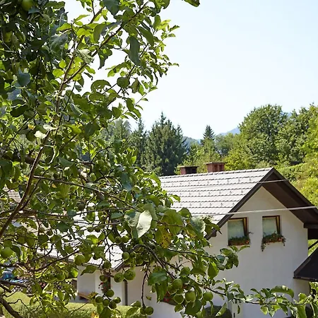 Charming House Bled