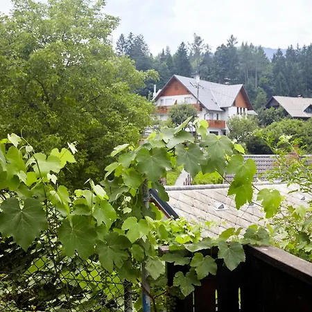 Apartma Charming House Bled